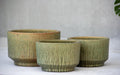 CEDAR_PLANTERS - Cast Stone International 