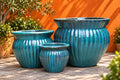 Contemporary Ceramic Planters