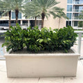 LARGE_PADOVA_DESIGN_PLANTER - Cast Stone International 
