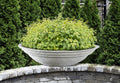 PALM_BEACH_BOWL_MED - Cast Stone International 