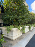 Palm_Beach_Square_Planter_5 - Cast Stone International 