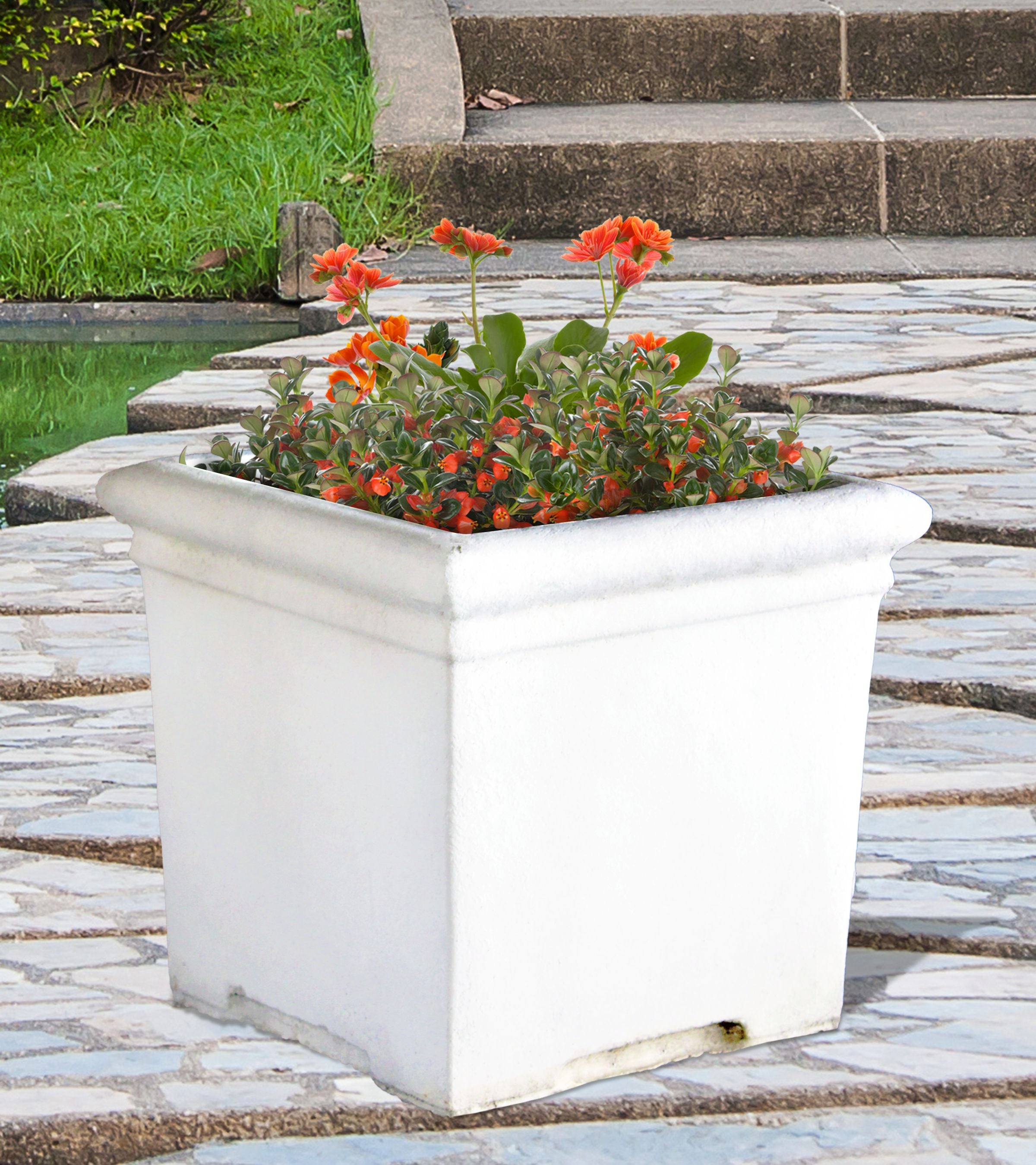 Plain_Square_Planter_Small_ca9ff85c-6913-43cd-b761-777c87615935 - Cast Stone International 